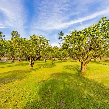 Apartmán Casa Do Sobreiro *