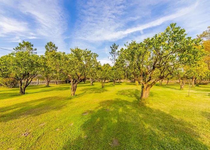 Apartament Casa Do Sobreiro *